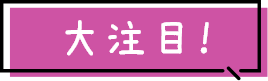 大注目