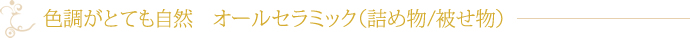 色調がとても自然　オールセラミック（詰め物/被せ物）