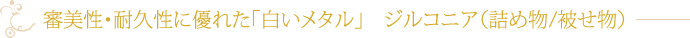 審美性・耐久性に優れた「白いメタル」　ジルコニア（詰め物/被せ物）