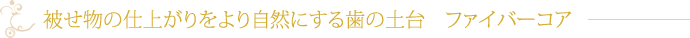 被せ物の仕上がりをより自然にする歯の土台　ファイバーコア