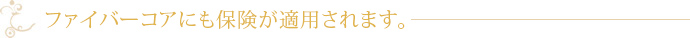 ファイバーコアにも保険が適用されます。